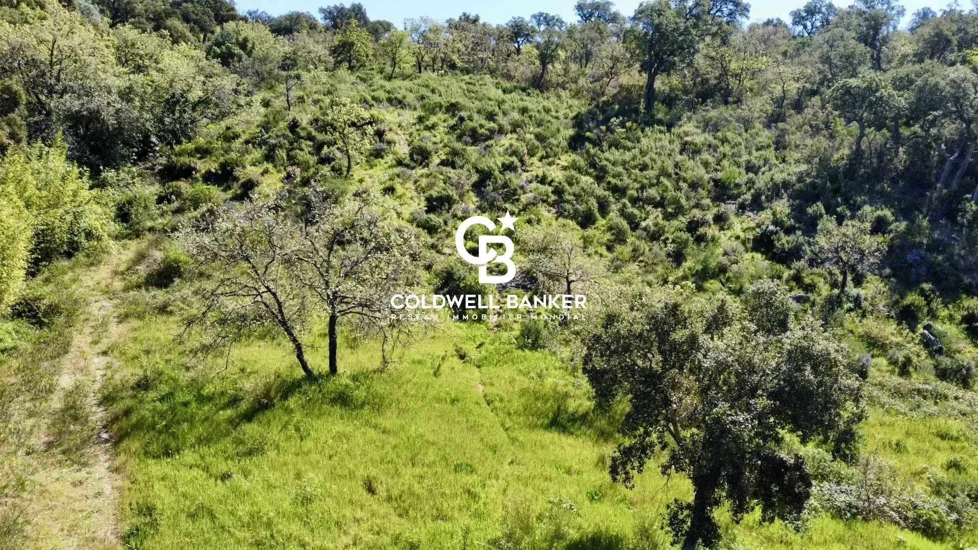 2 - venta terreno grimaud var francia