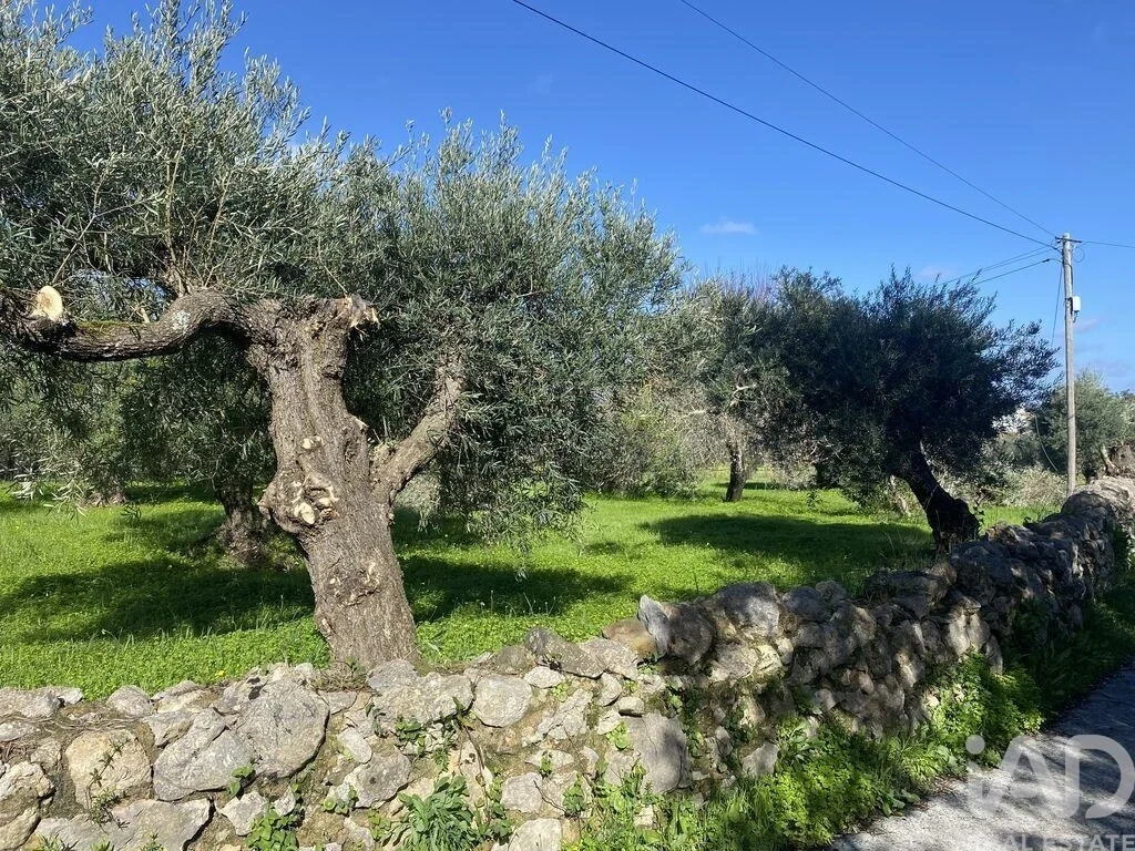 1 - vendita terreno são brás de alportel algarve portogallo