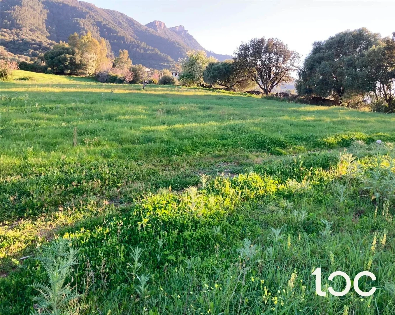 1 - vente terrain torpe' sardaigne italie