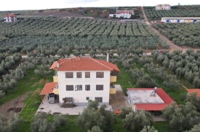 1 - vendita proprietà vista mare ólinthos macedonia centrale grecia