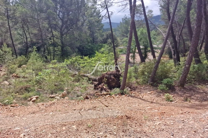 1 - vente terrain salernes var france