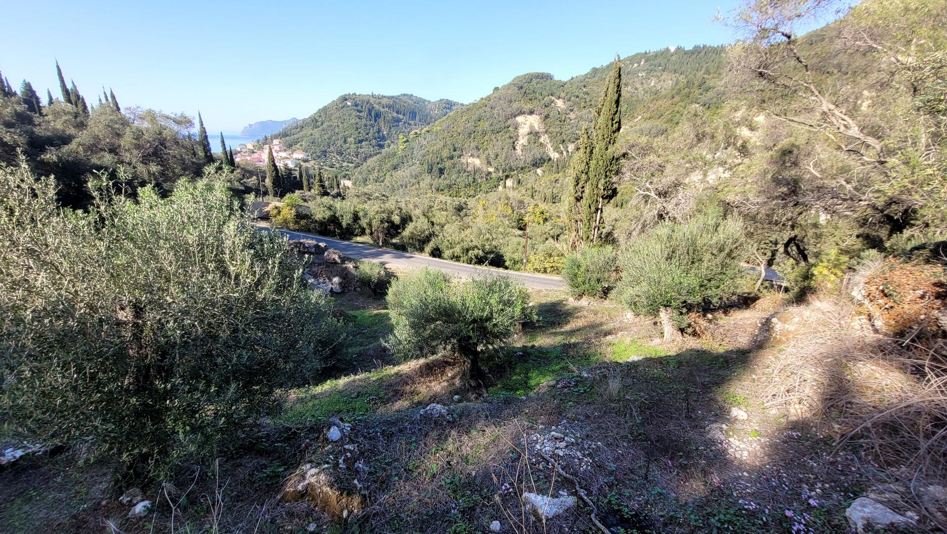 2 - vendita terreno vista mare corfu isole ioniche grecia