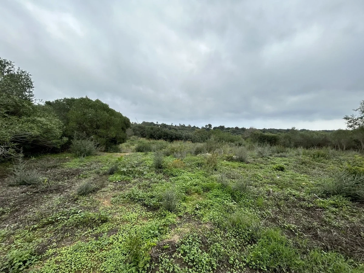 1 - verkauf grundstück sotogrande andalusien spanien