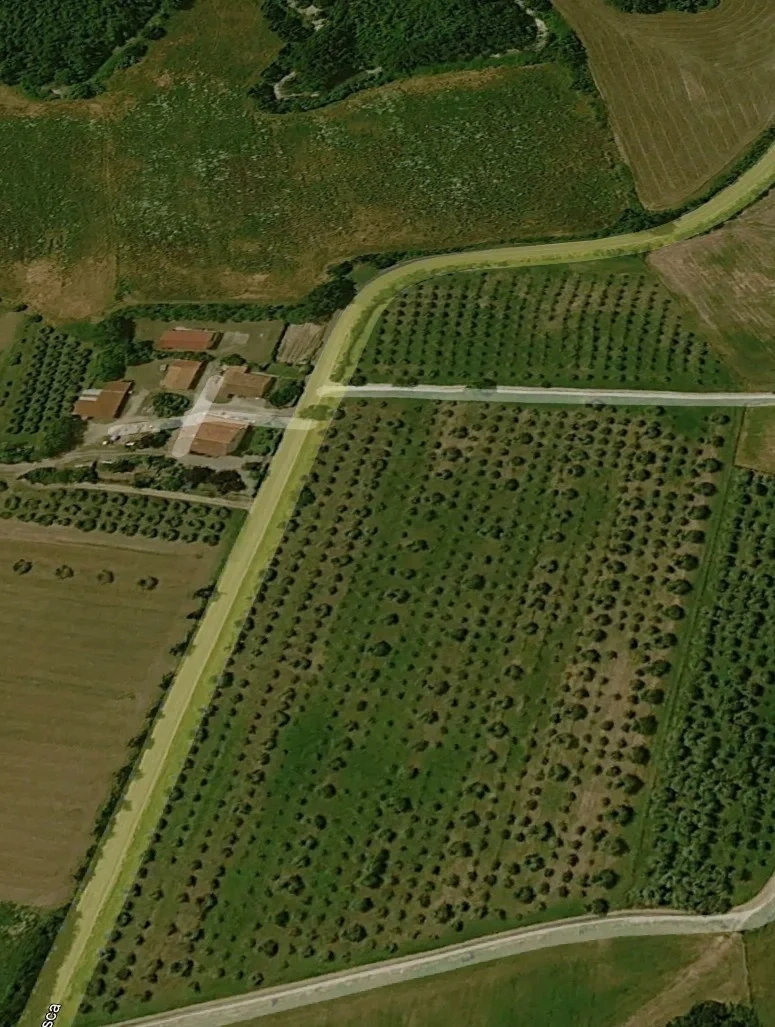 2 - venta comercio castell'azzara toscana italia