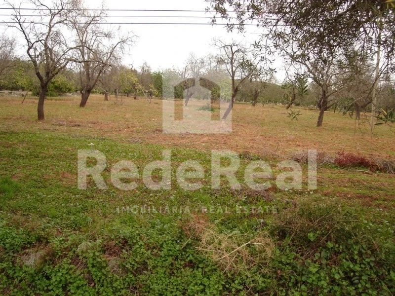 2 - plot of land for sale in boliqueime algarve portugal