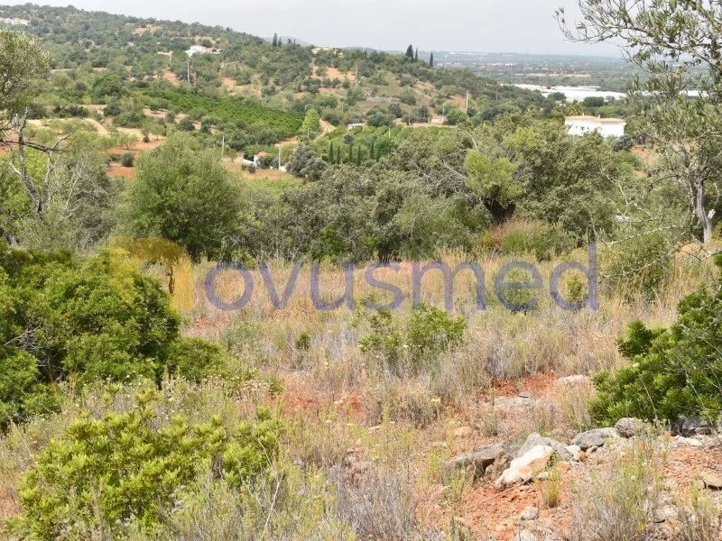 1 - plot of land for sale in paderne algarve portugal