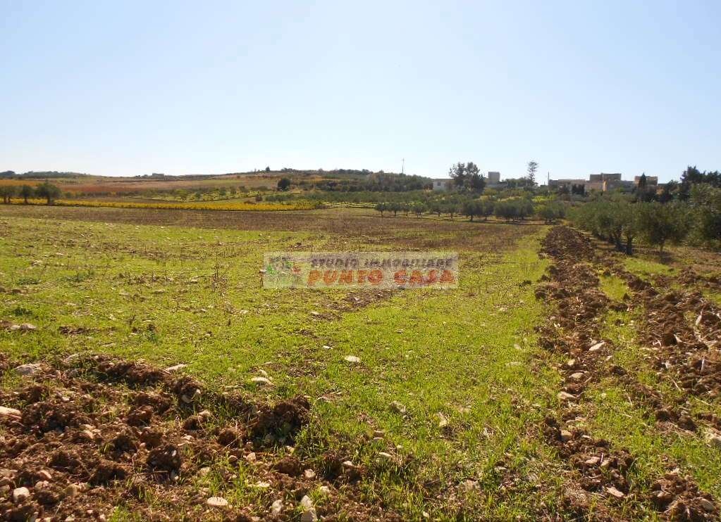 2 - plot of land for sale in valderice sicily italy