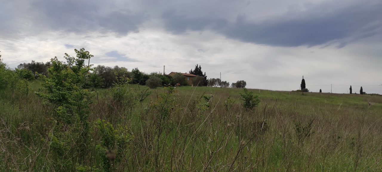 1 - plot of land for sale in pienza tuscany italy
