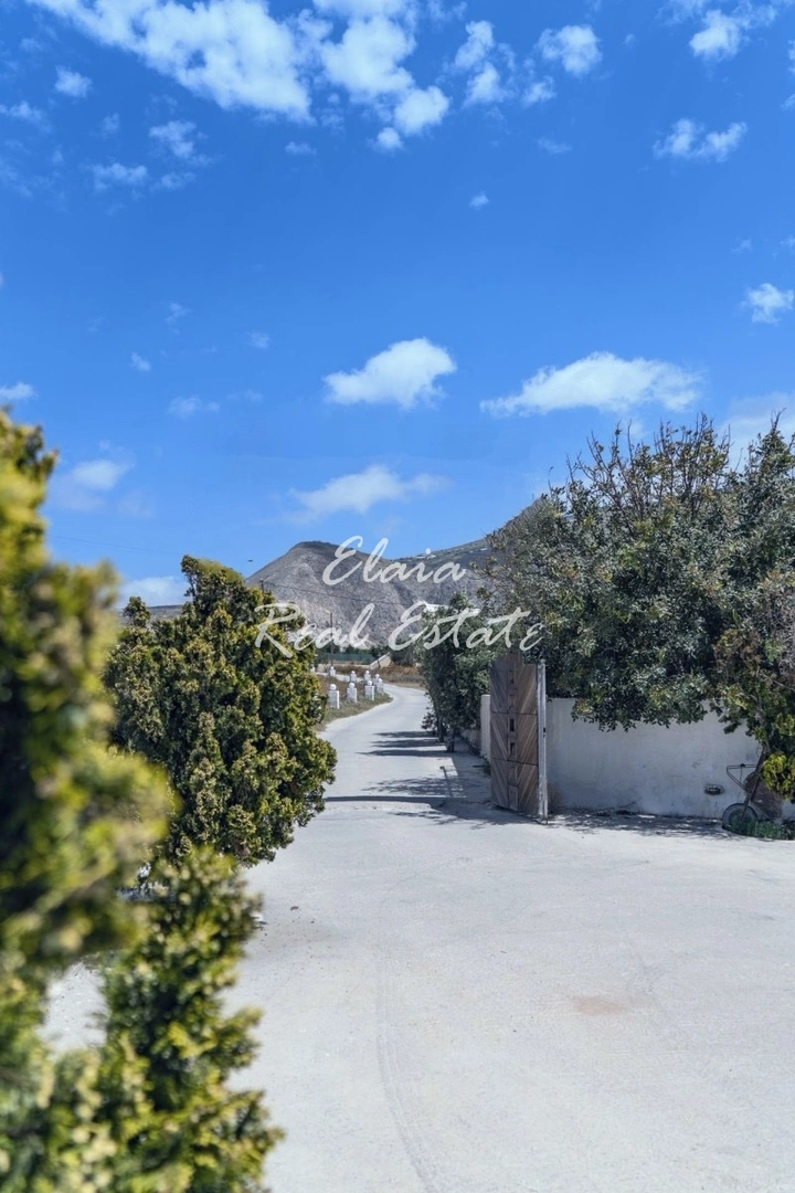 1 - venta comercio a pie de playa thira egeo meridional grecia