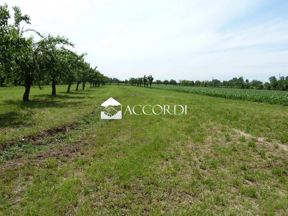 2 - plot of land for sale in volpago del montello veneto italy
